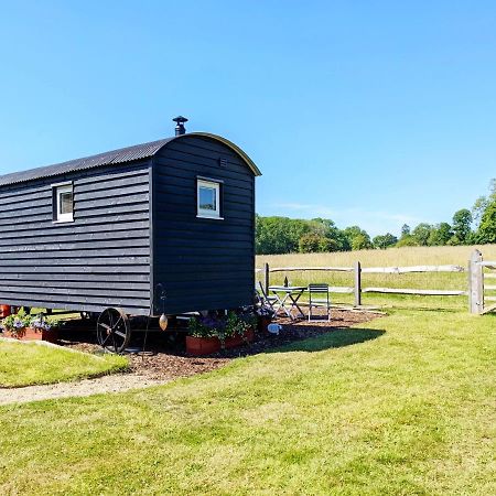Willa Crabden Shepherd Hut - Blendworth Waterlooville Zewnętrze zdjęcie