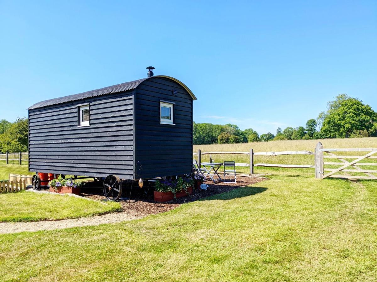 Willa Crabden Shepherd Hut - Blendworth Waterlooville Zewnętrze zdjęcie