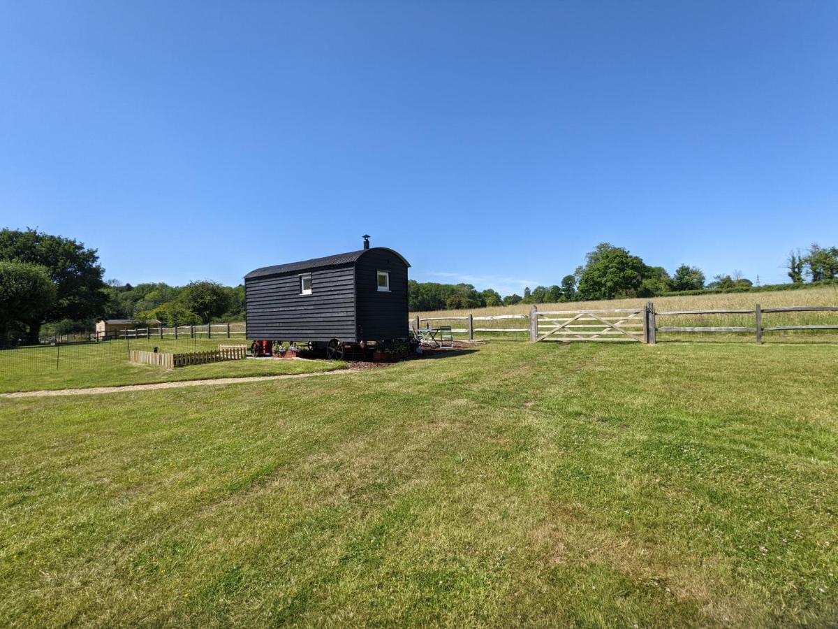 Willa Crabden Shepherd Hut - Blendworth Waterlooville Zewnętrze zdjęcie